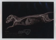 2024 Topps Allen & Ginter X-Ray'd Dwarf Mongoose #XR-14