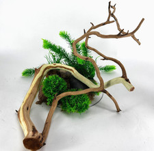 Large Driftwood Manzanita 19" Aquascape Aquarium Terrarium Reptile Home Decor