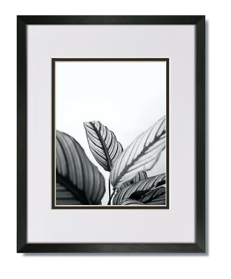 16X20 EcoLine Black Picture Frame with White/Black Mat for 11x14