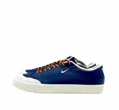 quartersnacks x sb blazer low xt