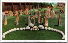 Edgemont South Dakota Specimens Petrified Forest City Park Vintage Postcard