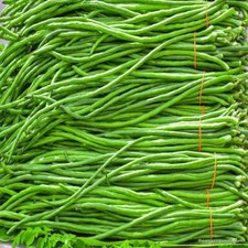 Green Yard Long Bean / Black Seed /Asparagus beans /Chinese Long beans