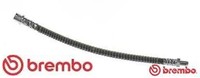 Brembo T50050 Bremsschlauch Hinterachse Hinten FüR Mercedes-Benz