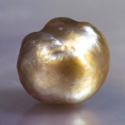 1.30 cts Natural Wild Pteria Penguin Oyster Pearl 5.85 mm Extremely Rare 0.26 g - Picture 8 of 13