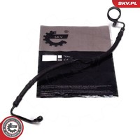 Esen SKV Servoleitung Hydraulikschlauch Lenkung FüR Audi A6 4F2 C6 4F5 4FH