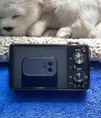 Sony Cyber-shot DSC-WX10 16.2MP 7X Optical Zoom Digital Camera