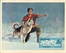 NIKKI WILD DOG OF THE NORTH A WALT DISNEY ORIGINAL LOBBY CARD POSTER ART