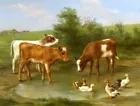 Farm calves drink water oil painting Giclee art HD Printed on canvas L3488