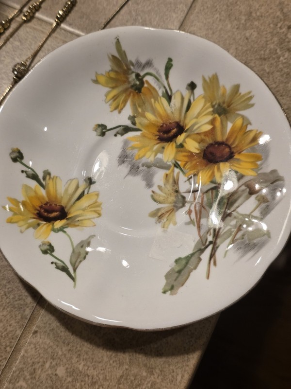 Royal Standard Brown Eyed Susan Bone China Floral Plate, England