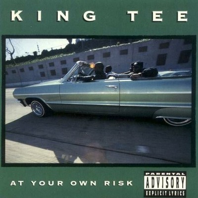 KING TEE - AT YOUR OWN RISK U.S. CD 1990 DISS YOU PLAYED LIKE A PIANO RUFF RHYME