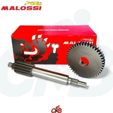 KIT INGRANAGGI PRIMARI HTQ Z 13/44 MALOSSI PER MINARELLI ORIZZONTALE E VERTICALE