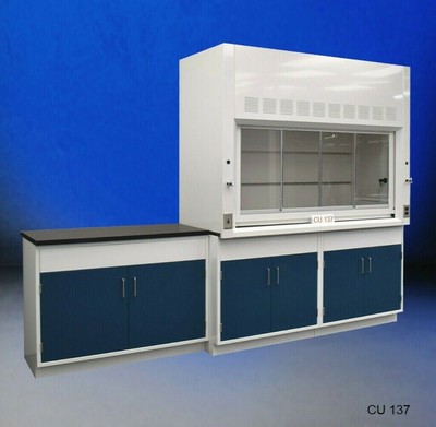 6' Fisher American Fume Hood w/ Storage & 4' Laboratory ...