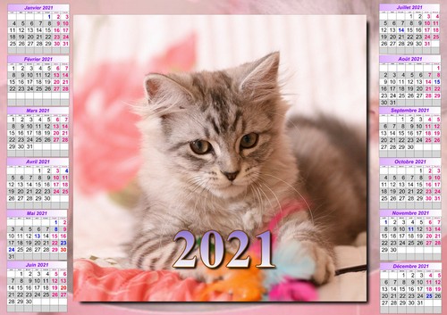 Calendrier 22 Chat Affiche Plastifiee 30 X 40 Cm Ref 156 Ebay