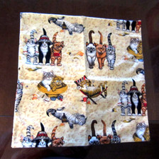 Cats Kittens at the Beach Decorative Pillow Cushion Cover 16.5 x 16.5 Multicolor