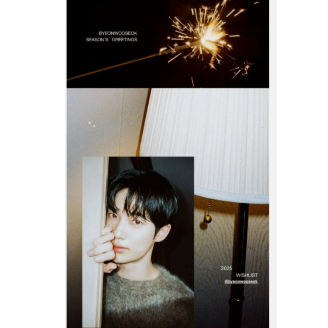 BYEON WOO SEOK 2025 SEASON'S GREETINGS *Calendar+Diary+Book+