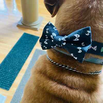 dog bow tie ebay