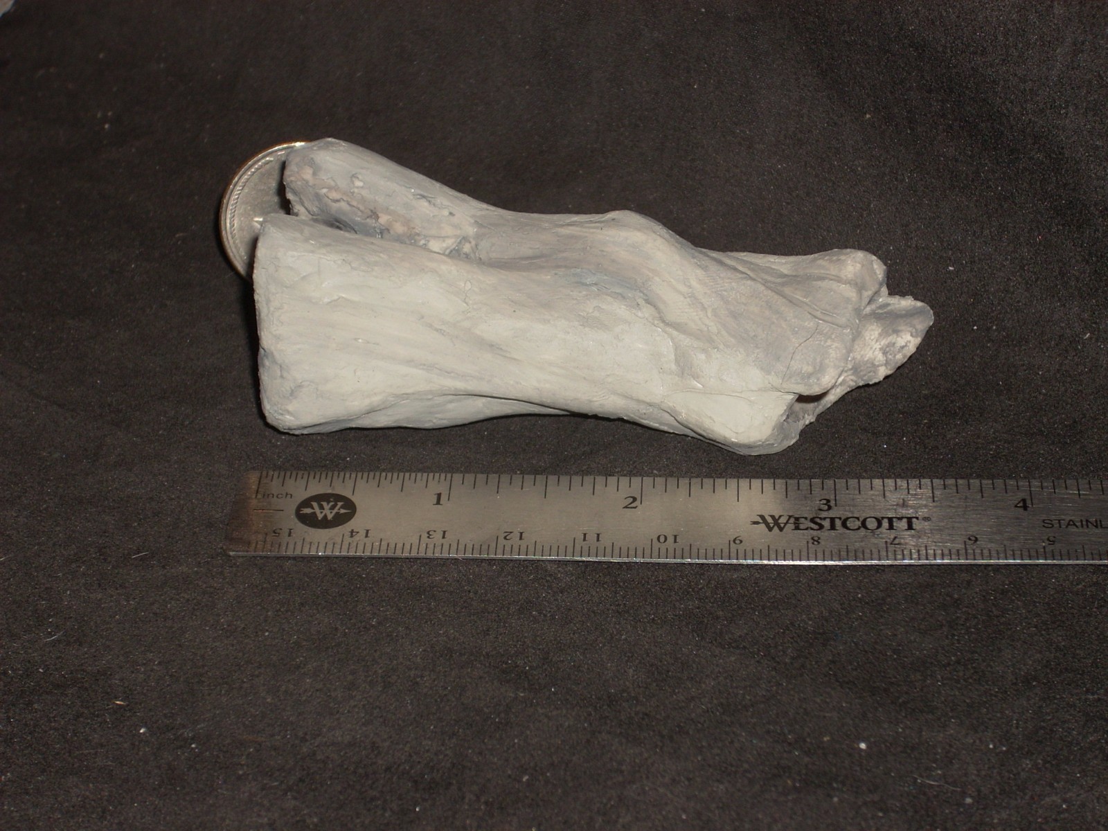 Picture 6 of 6