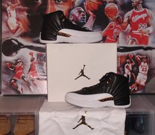 jordan 12 wings ebay