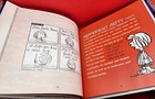 Foto 4 di 10