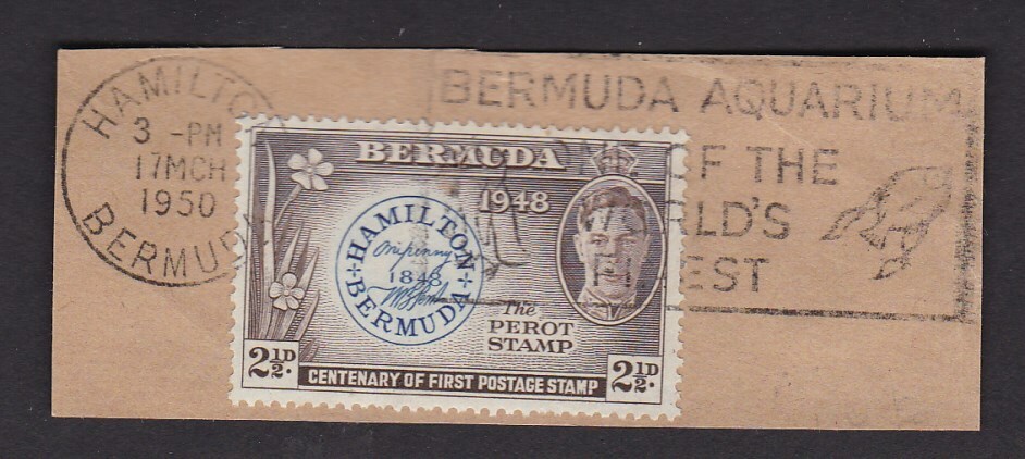Picture 2 of 67