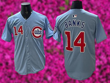 Chicago Cubs - Ernie Banks #14 Light Blue Cool Base Stitched