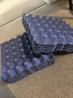 10 Trays of 30 Cardboard Egg Trays Poultry Egg Holder 100% Recyclable