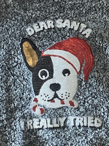 Gray DEAR SANTA, I REALLY TRIED Long Sleeve Fleece Size Women’s Large - Picture 2 of 6