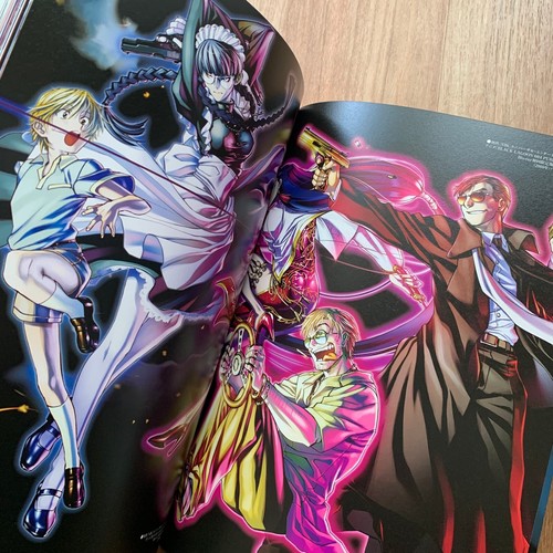 Black Lagoon 10 Limited Edition Illustration Artworks Book Comic Anime Book JPN - Foto 4 di 24