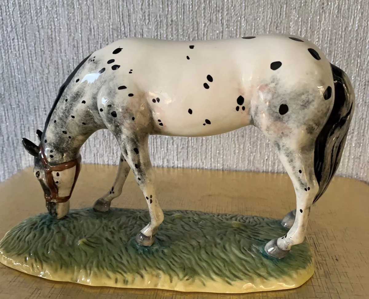 The Appaloosa horse - Royal Horse