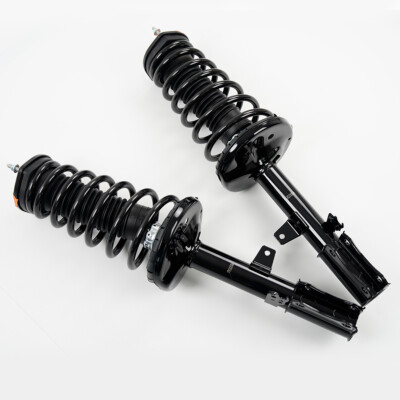 Rear Complete Struts Coil Springs Pair 2 for Toyota Camry Avalon Lexus ES300 V6