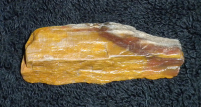 Petrified Wood ~ Nice Natural looking Grain & Color 2 3/8 in long x 3/4 in wide