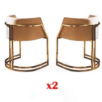 Luxus 2X Stuhl Esszimmerstuhl KüChenstüHle Wohnzimmerstuhl Polsterstuhl Lehn Neu