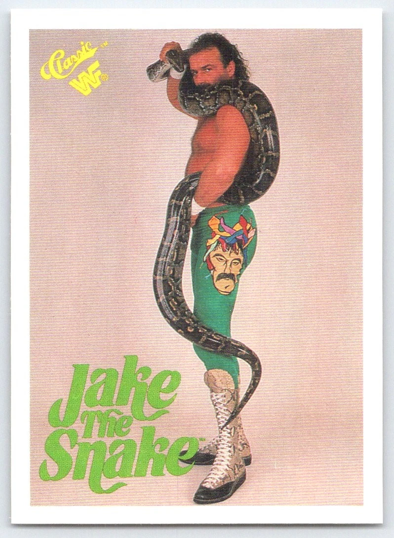 ジェイク・ザ・スネーク・ロバーツ　WWEクラシックスーパースター 1989 Classic WWF - Jake 