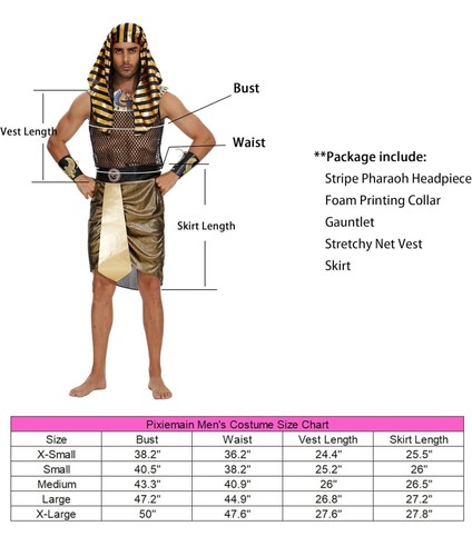Men's Adult Fashion Egyptian Pharaoh Halloween Costume Size Medium - Picture 2 of 6