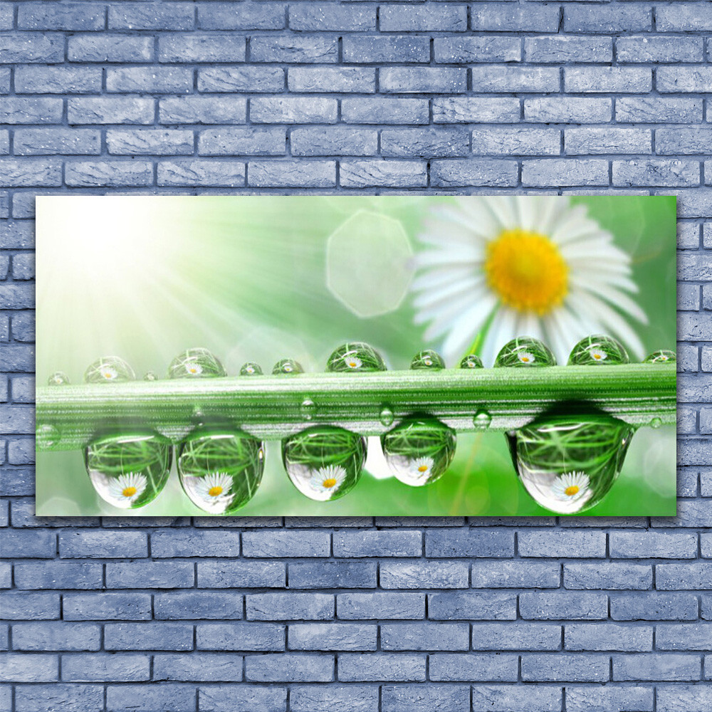 Feuille Marguerite tableau sous verre 140x70 anti-poussière pour grand mur lumineux