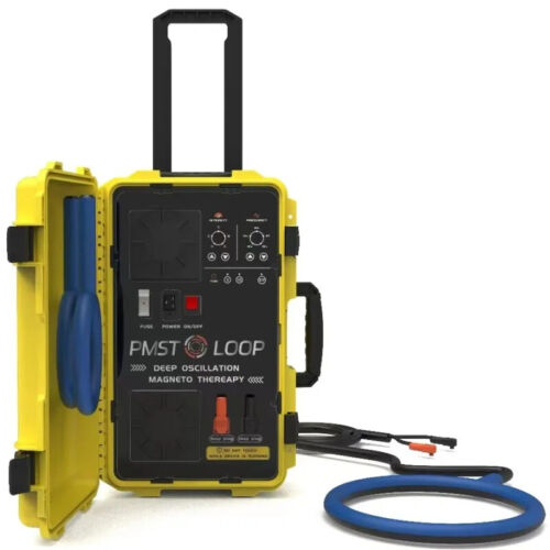 PMST LOOP Pain Relief Rehabilitation Sports Injure Physiotherapy PEMF Machine - Picture 3 of 17