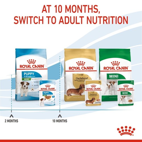 Royal Canin Mini Puppy Wet Food Chunks in Gravy 12x85g FAST DELIVERY - Picture 6 of 7
