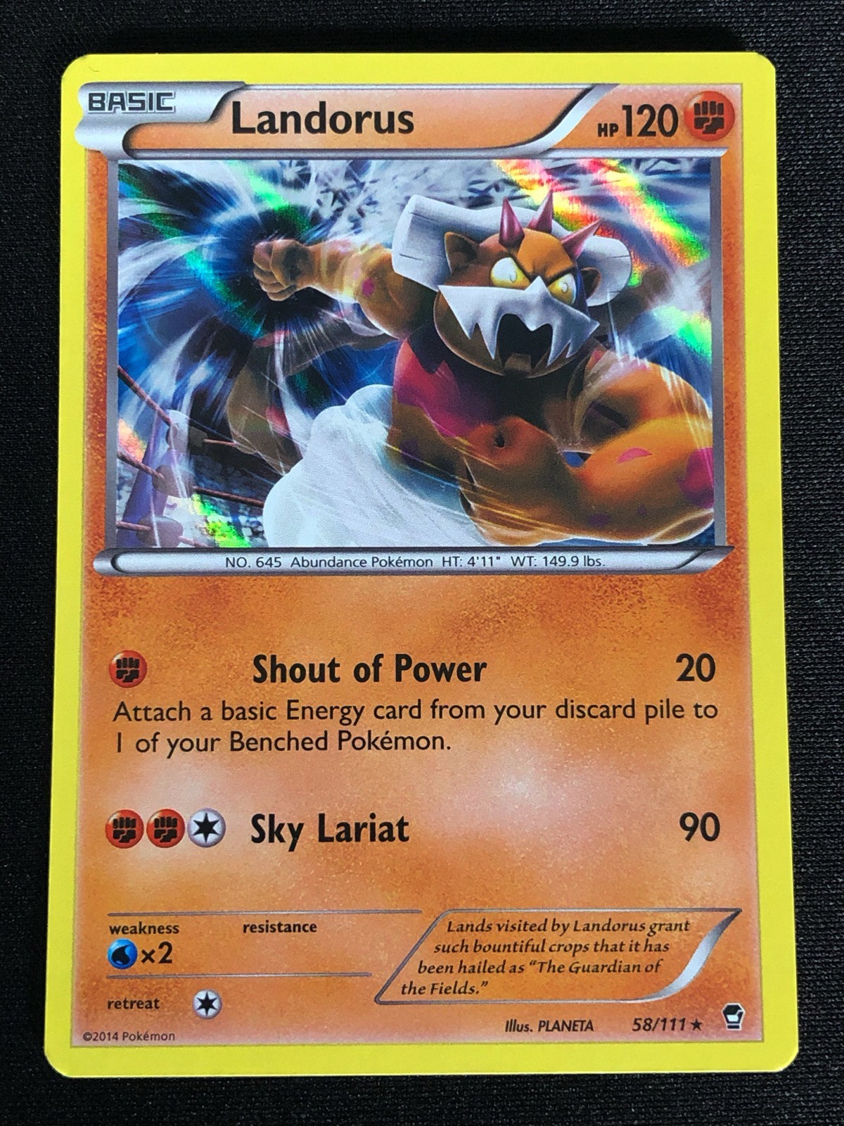 Pokemon Landorus 58/111 Holo (NM)