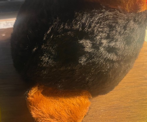 Trofeo orso peluche vintage raro testa su targa occhio mancante - rigido? - Foto 8 di 13