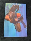 WOLVERINE #23 VIRGIN ALEX ROSS X-MEN  VARIANT 1