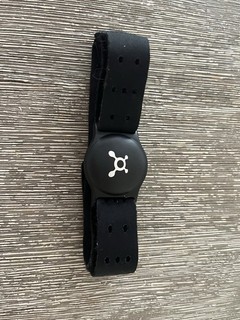 Orangetheory Heart Rate Monitor Fitness Tracker OTBeat Burn Black Arm Band Used