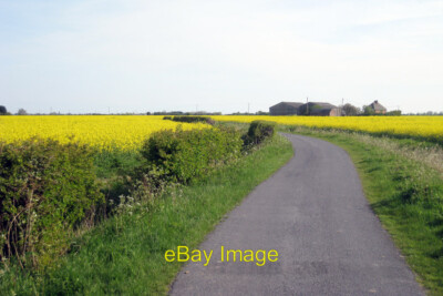 Foto 6x4 Tame Lane Farm Donkey Street Tame Lane durch Ölfelder See c2010