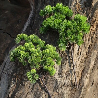 K��nstlich Falsche Gr��n Pflanze Bonsai Eingetopft Simulation Kiefer Baum Dekor - Bild 1 von 3