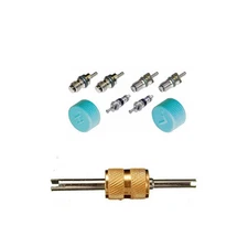 Santech Industries Automobile A/C System Caps & Valves Kit With Removal tool