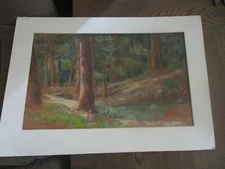 Original Pastel By Peg DeChene Humphreys, Matted Pine Forest Floor 23" x 17"