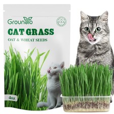 Cat Grass Seeds 4 Oz NonGMO Wheat Oat Seeds Mix High Germination Indoor Pet