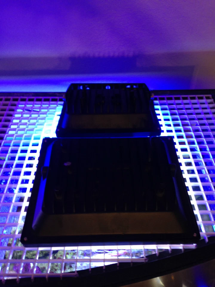 SALTWATER SALT WATER Aquarium Reef 2X LED Light Combo 12K/Actinic Blue 5 10 15 Gal Bio-Cube JBJ Nano