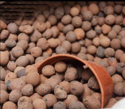 TECHTONGDA Expanded Clay Pebbles 800g One Bag for Planting Hydroponic Plant