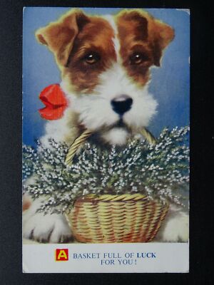 Terrier Hunde EIN KORB VOLLER GLÜCK um 1950 Postkarte von Bamforth, viel Glück