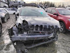 Used Deck Lid fits: 2018 Jeep Cherokee w/rear view camera privacy tint glass Gra